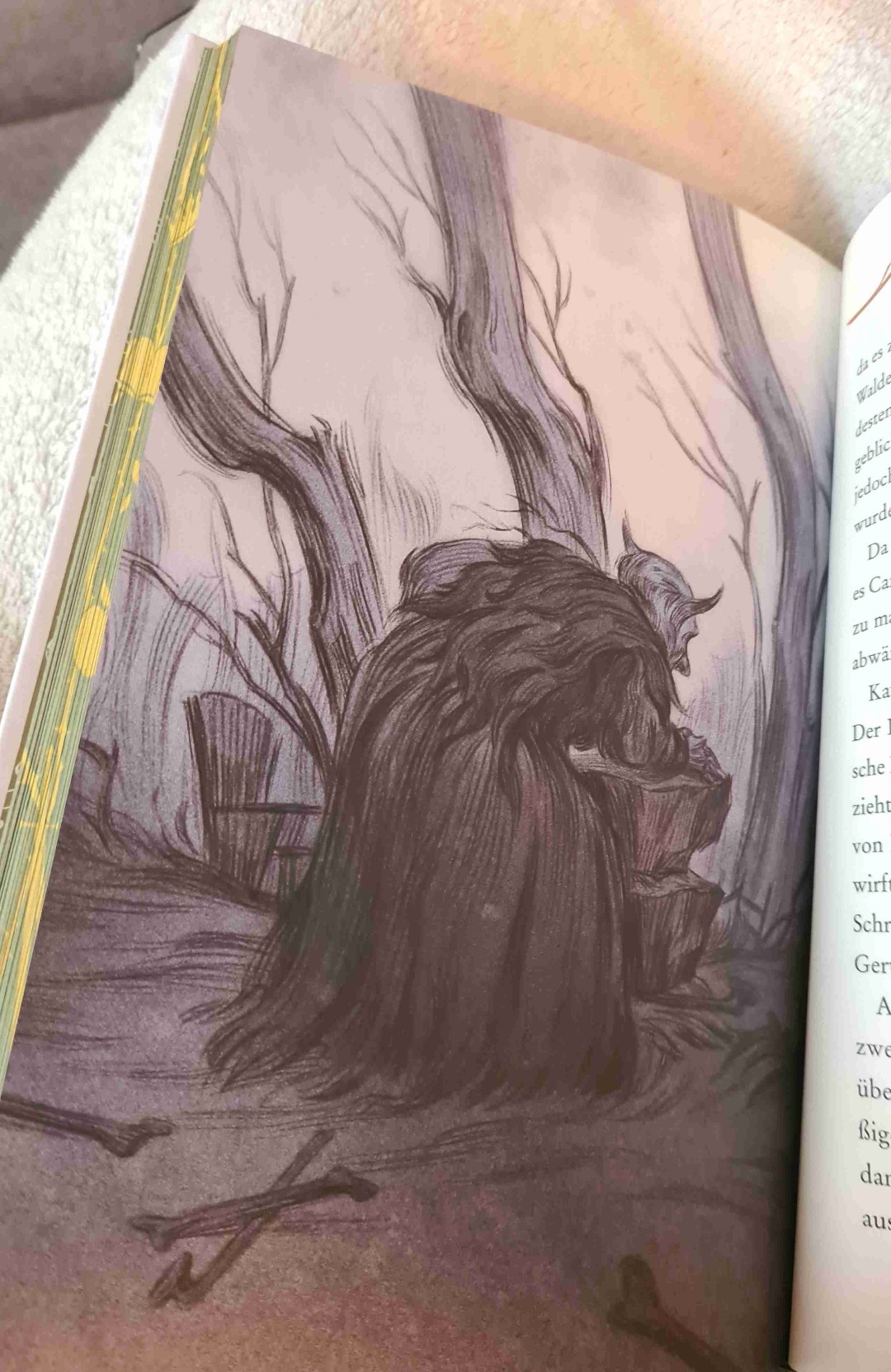 Wunderschöne Illustrationen!