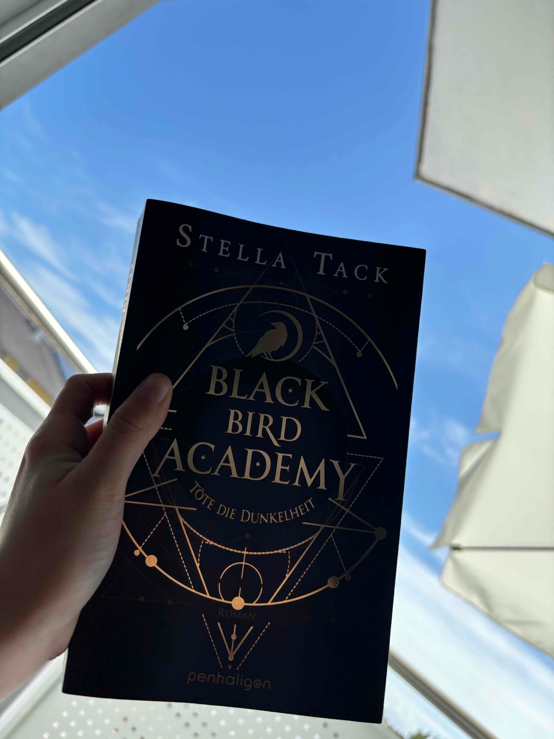 Highlight! 📖⭐️⭐️⭐️⭐️⭐️