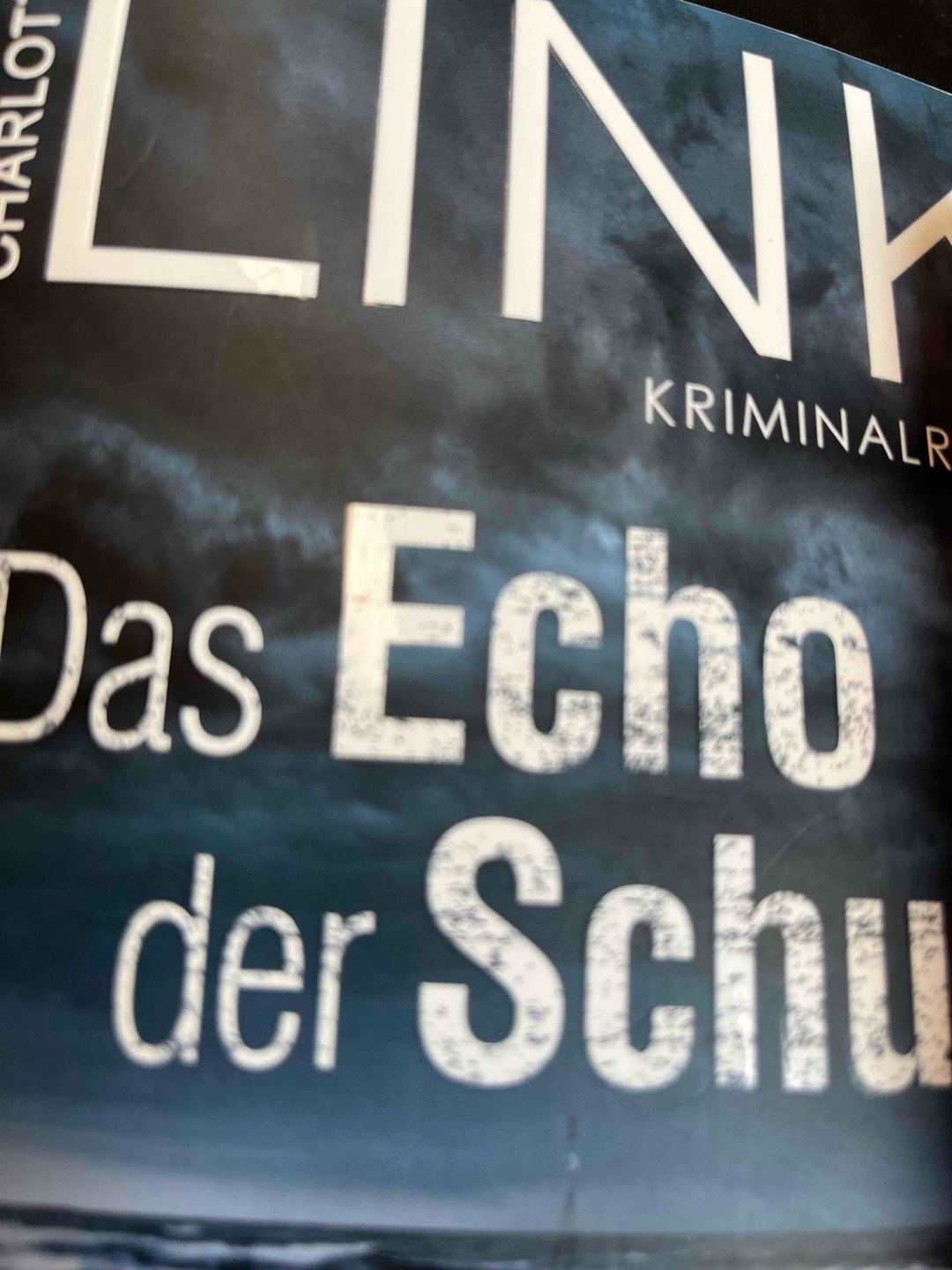 Ein gewohnter,, toller Link Roman. Schleichend kommt die Spannung ;-)