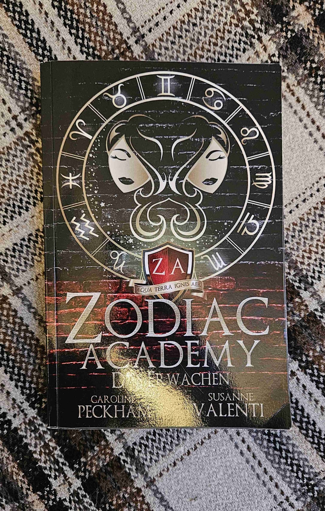 Also eigentlich weiß ich gar nicht so, wie ich dieses Buch beschreiben soll, nur so viel...