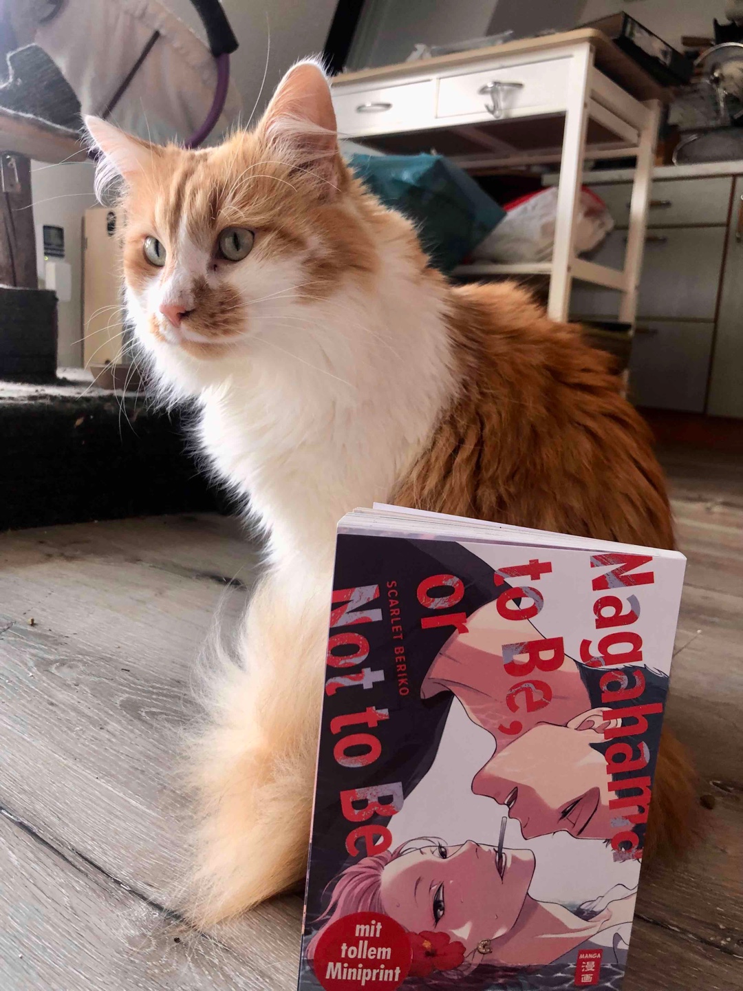 Sind sie oder sind sie nicht. Das ist hier die Frage 🥰