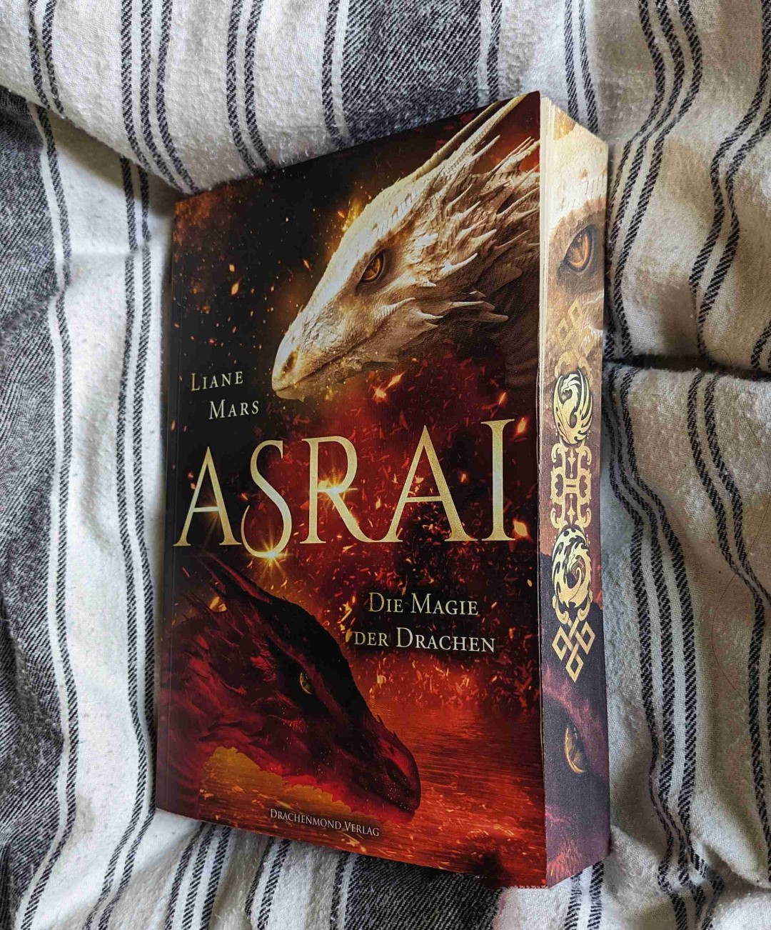 🖤🐉🤍
