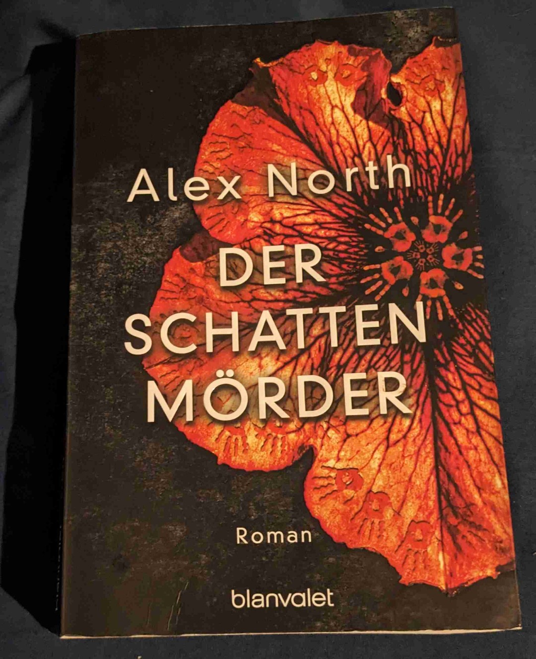 Spannendes Buch mit jeder Menge Emotionen