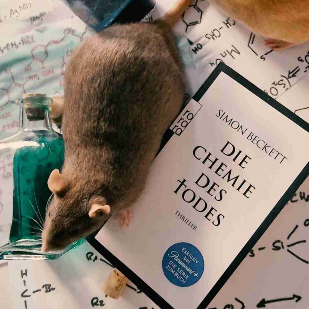 Tolles Buch