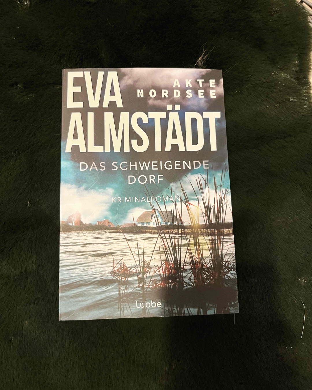 Leider der bisher schwächste Teil der Akte Nordsee-Serie