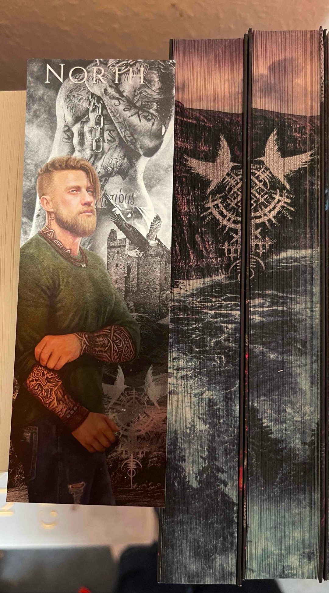 Bin nicht so der Dark Romance Leser, vor allem da mich das Wort „Romance“ in dem Zusammenhang stört. Bin schwach geworden bei der Edition von Buchmädchen. Sie haben auch was die McTavish Brüder. Geeignet für Einsteiger in dem Genre