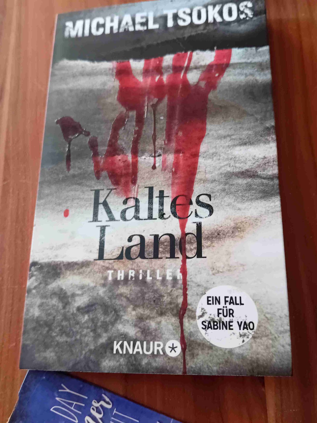 Gutes kurzes Buch für Zwischendurch.