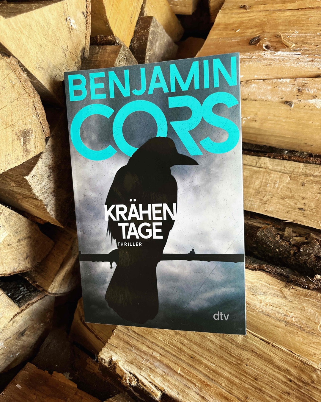 Spannender Thriller, aber teilweise etwas langatmig