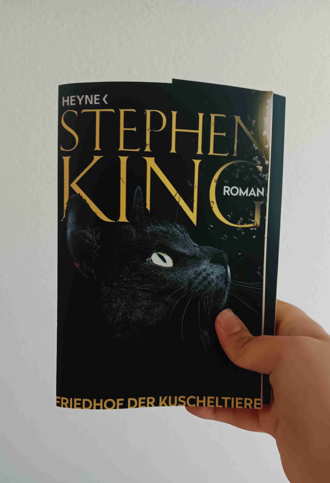 Dieses Buch ist sehr gruselig und gut geschrieben, einfach der Hammer.