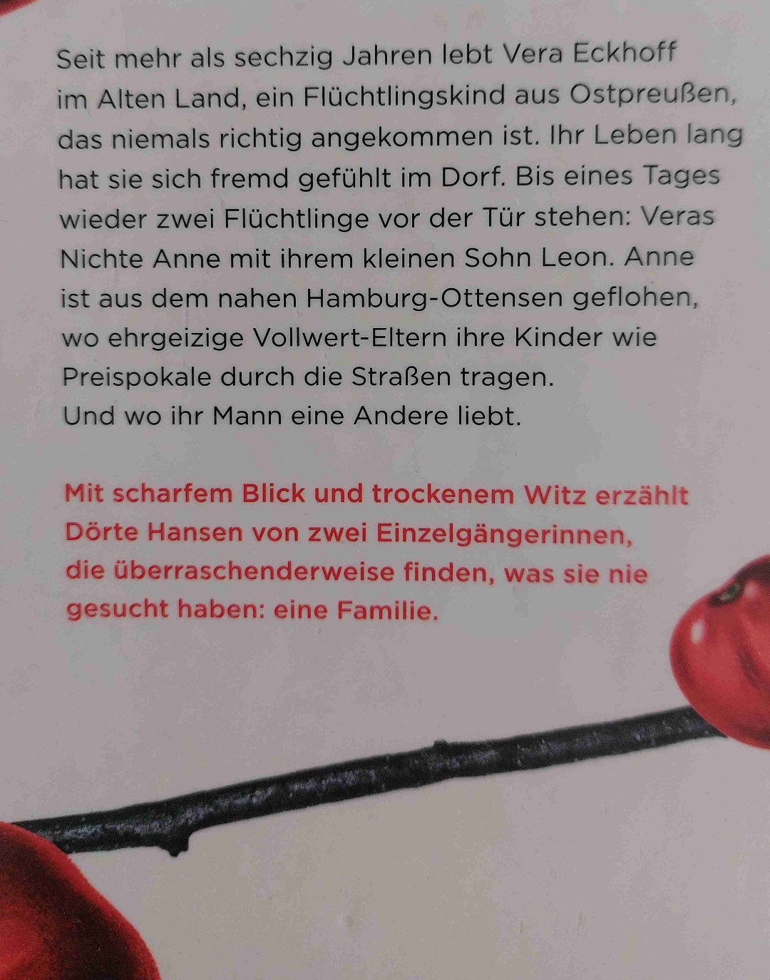 Ein Buch für verregnete Sonntage 