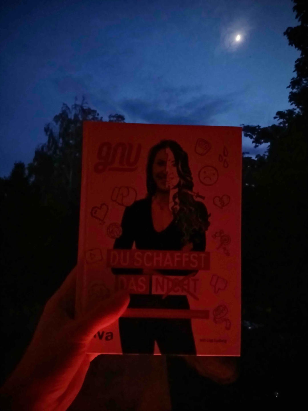 „ Und an alle, die meinen, mir immer noch dumme Kommentare unter meine Posts schreiben zu müssen, in denen ich mich über Erfolge freue: Mein Arsch ist offen und wund, aber nicht, weil ich mich von irgendjemanden habe bumsen lassen, sondern weil ich ihn mir aufgerissen habe, als ich an meinem Schreibtisch saß und gearbeitet habe, ihr Wichser.“