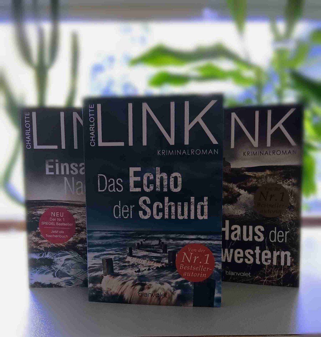 Die Idee dem Krimi Inhalt find ich gut, aber was mich stört ist das es nach einiger Zeit es in die Länge zieht, genauso ist das auch mit den Filmen und man hat nach einiger Zeit keine Lust mehr die Bücher oder die Filme weiter zu schauen/ weiter zu lesen