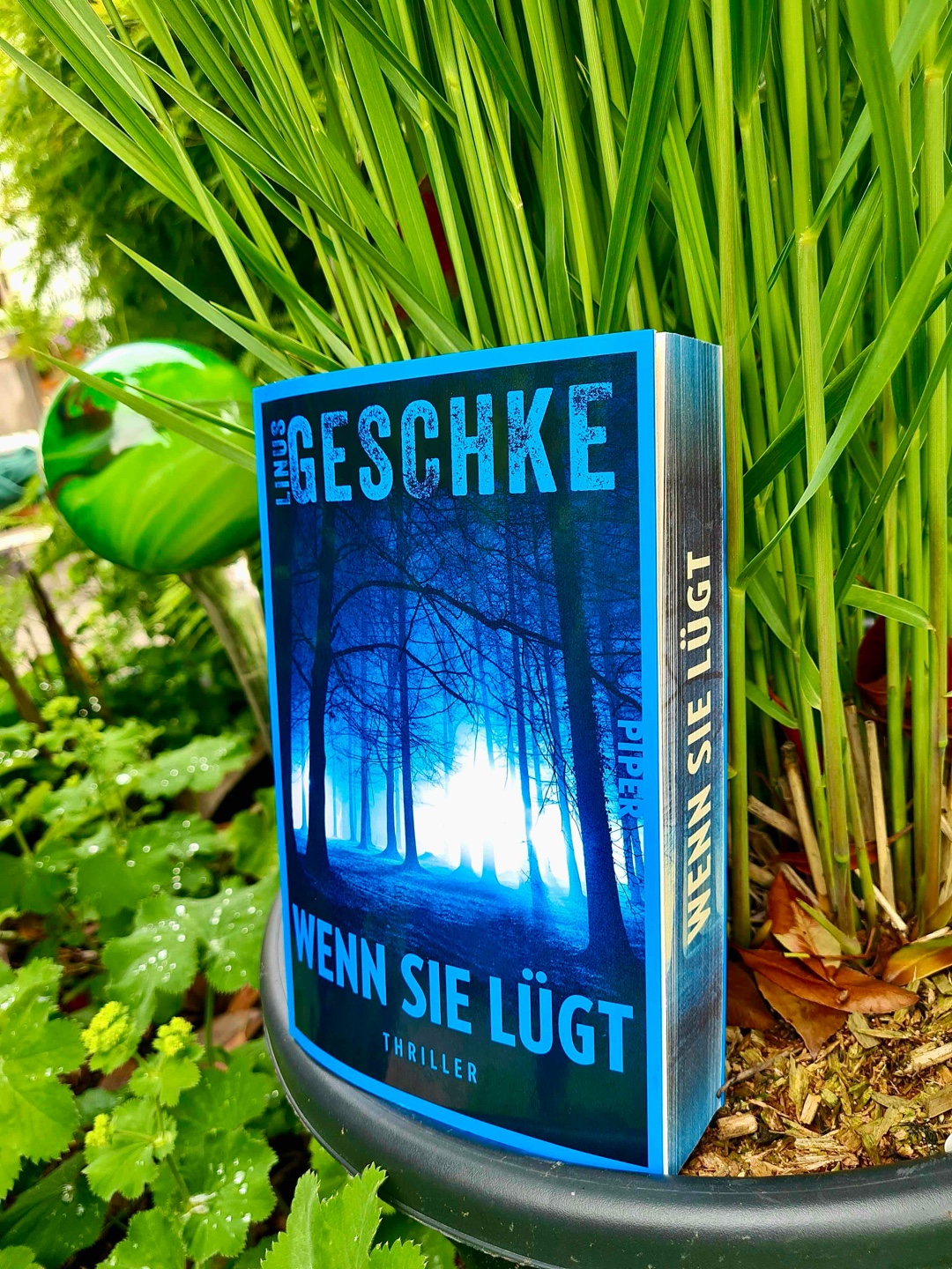 Lesehighlight! Linus Geschke hat mich einfach wieder gecatcht!