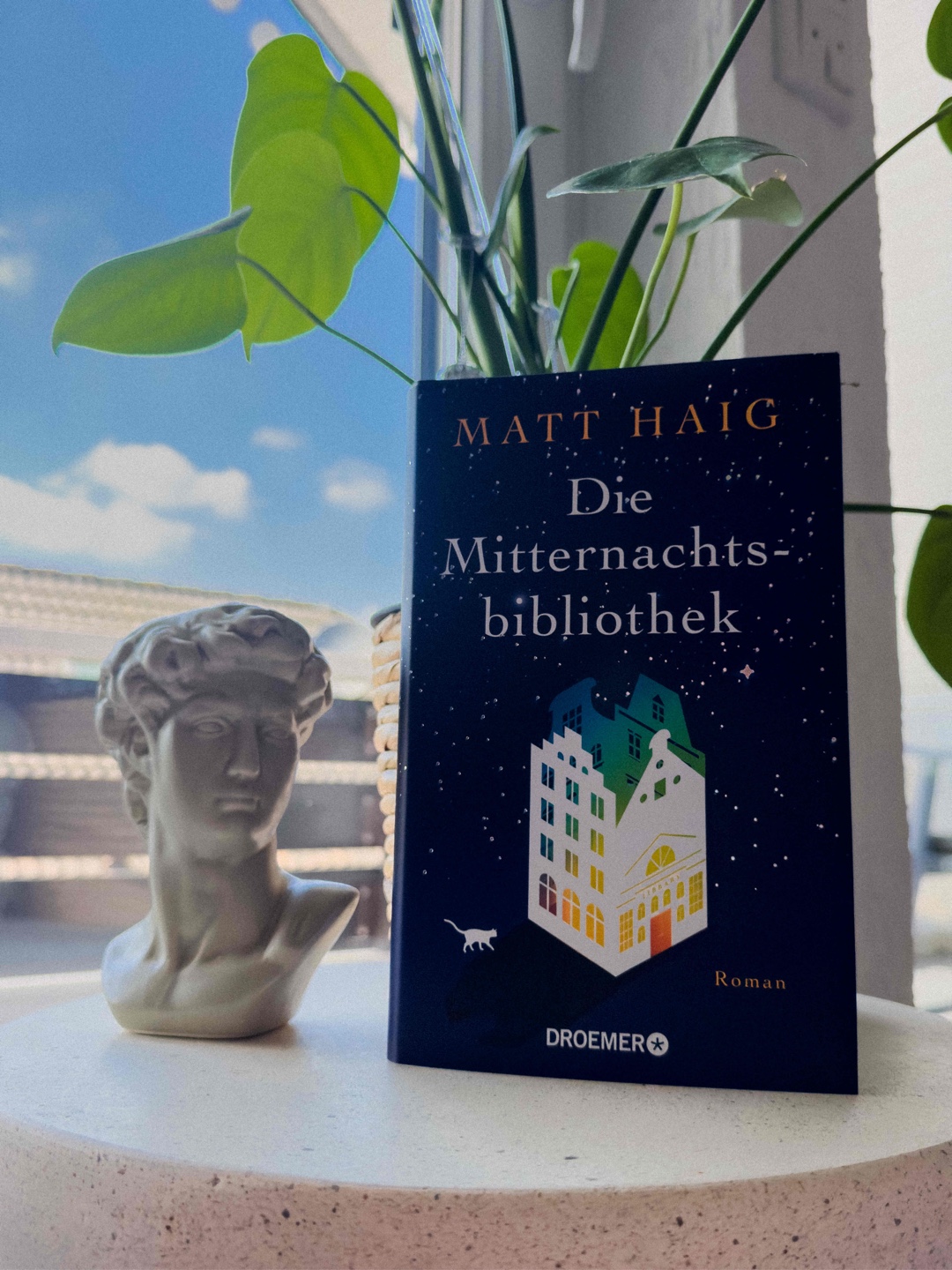 „Du musst das Leben nicht begreifen. Du musst es nur leben.“ 🌋 