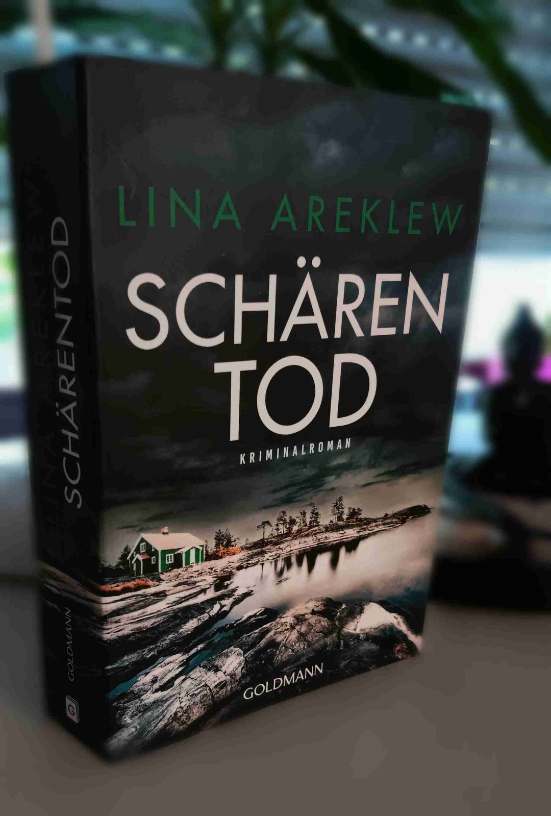 Das lesen hat mir sehr viel Spaß gemacht, Tolle Ermittlerarbeit und ein spannender Fall