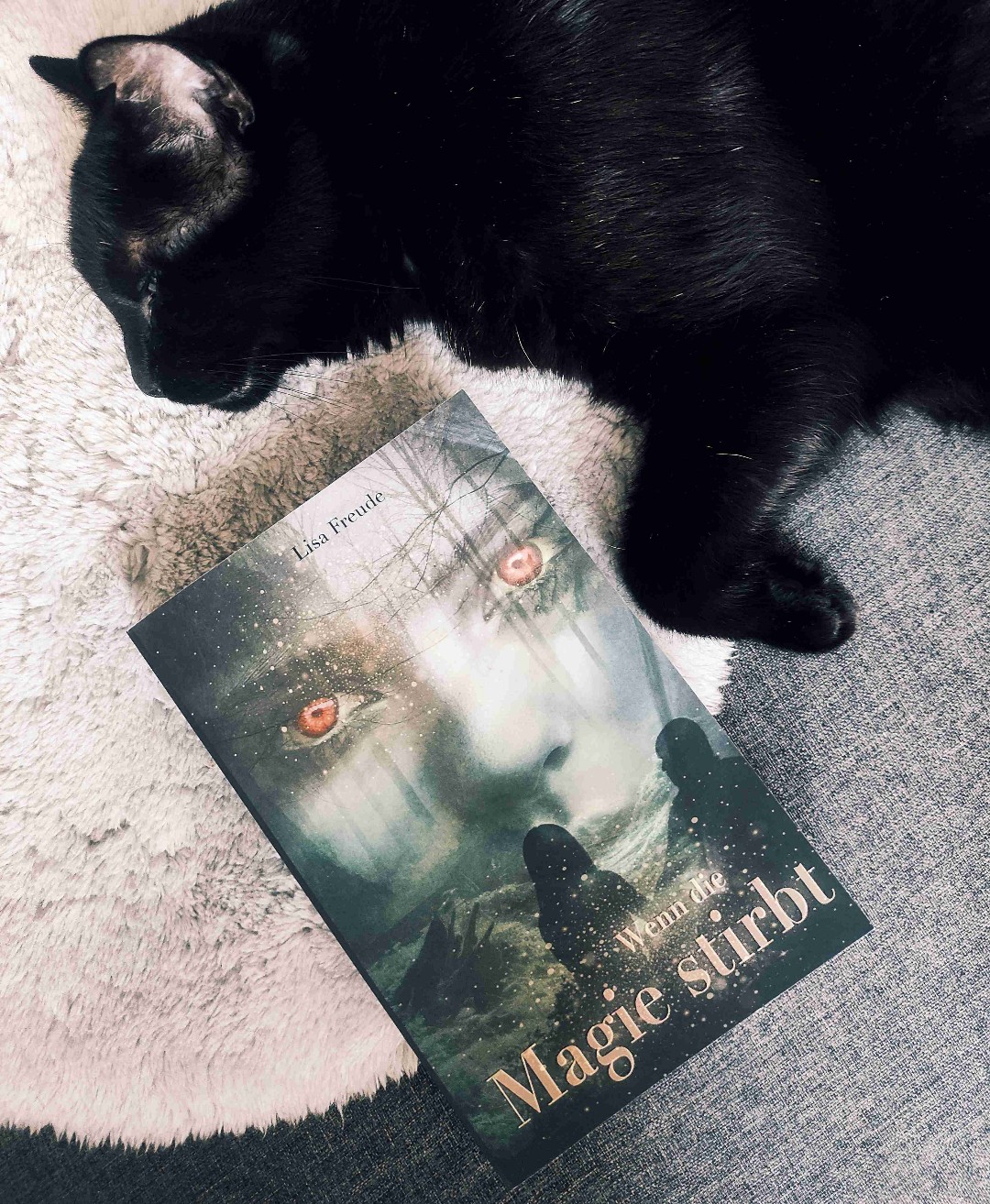 Dystopie trifft Magie 