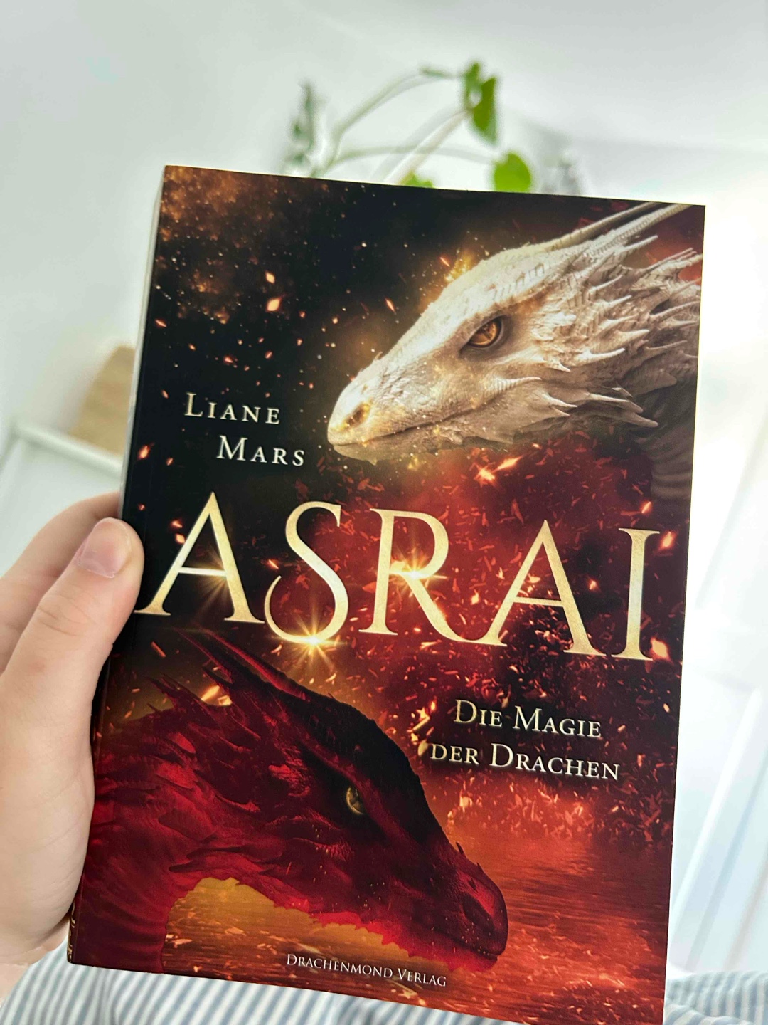 Drachen, epische Kämpfe zwischen Welten & eine große Lovestory - was will man mehr?