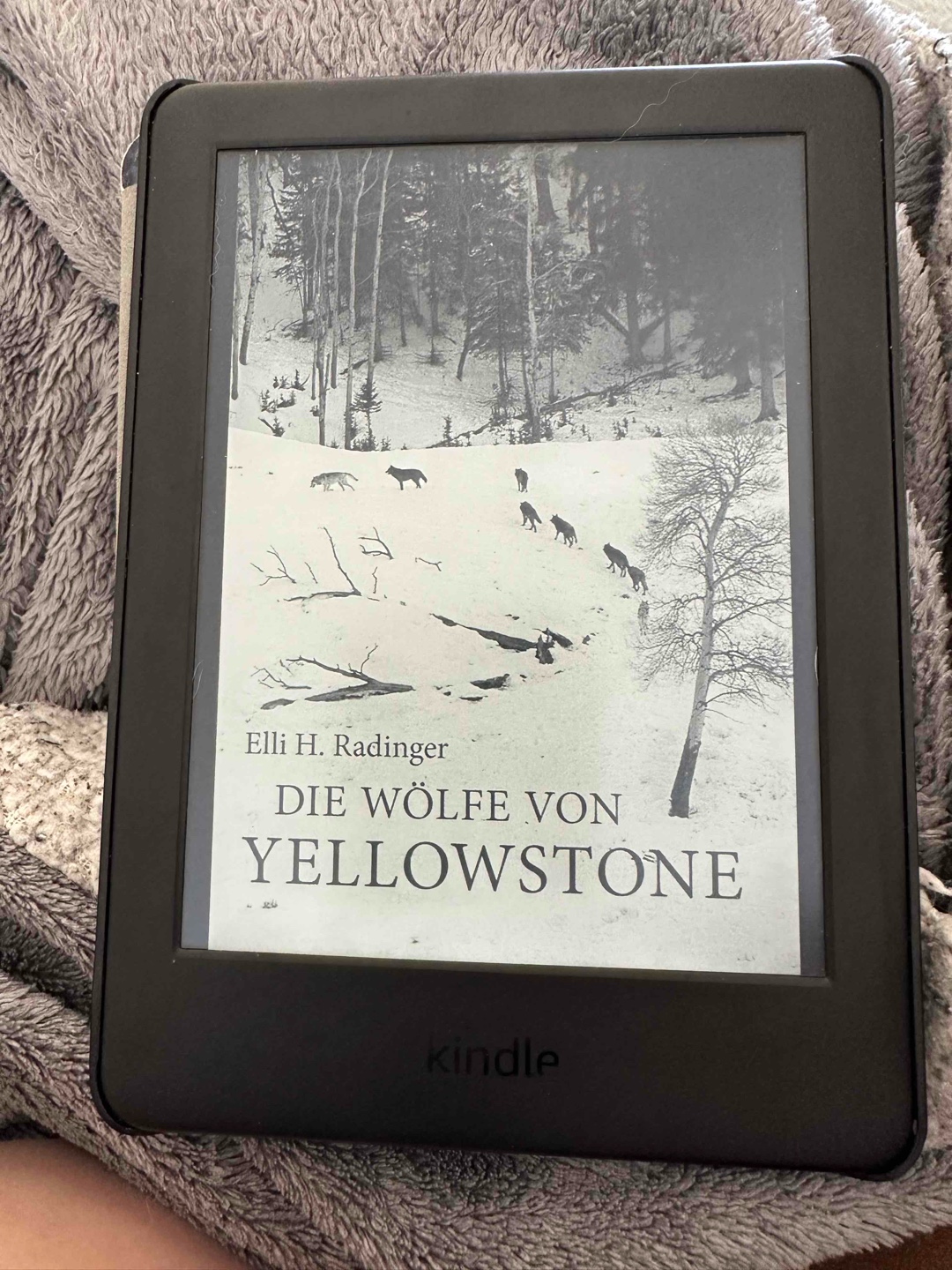 Der Wolf ist zurück