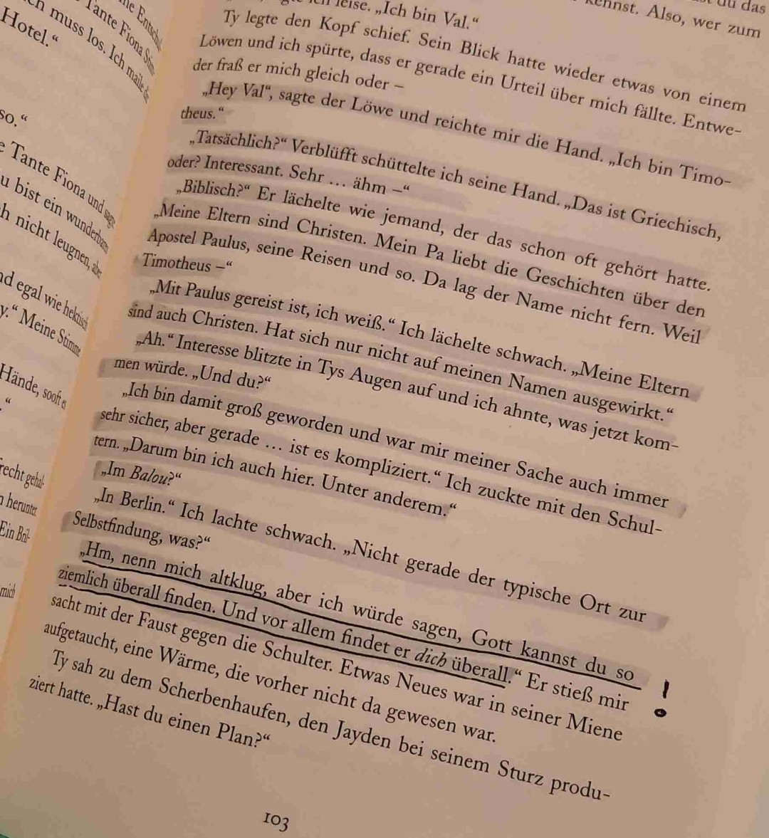 Dieses Buch. Ich habe keine Worte dafür. Ich liebe es!!!