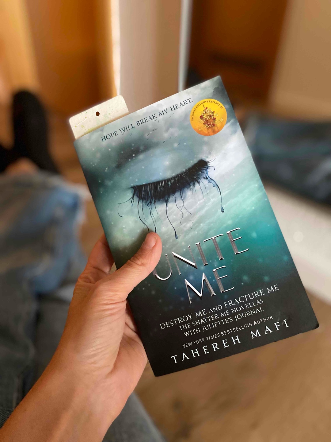 Tolle Ergänzung zu der Shatter me Reihe