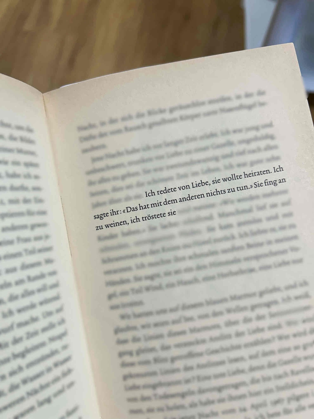 Der Titel spiegelt das ganze Buch wider