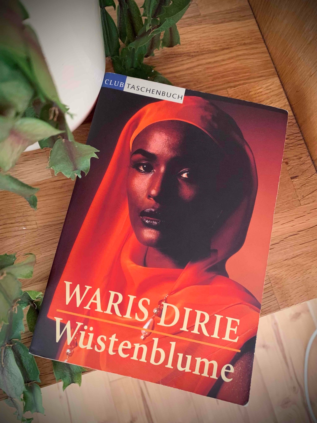 Wichtiges Buch!
