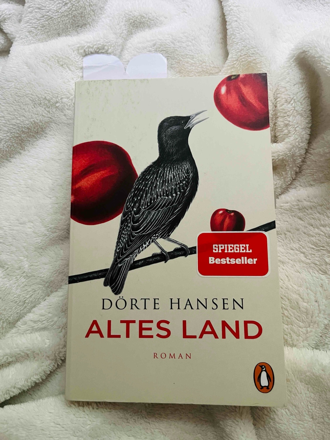Vera lebt inzwischen allein auf dem Hof im alten Land, auf dem sie als Flüchtlingskind aus Ostpreußen angekommen ist. Im Dorf gilt sie als merkwürdig und sie ist ziemlich zurückgezogen. Dann steht ihre Nichte Anne mit ihrem Sohn Leon vor der Tür. Ebenfalls Flüchtlinge aus der heilen Familienwelt von Hamburg-Ottensen, wo Annes Mann sie betrogen hat.
