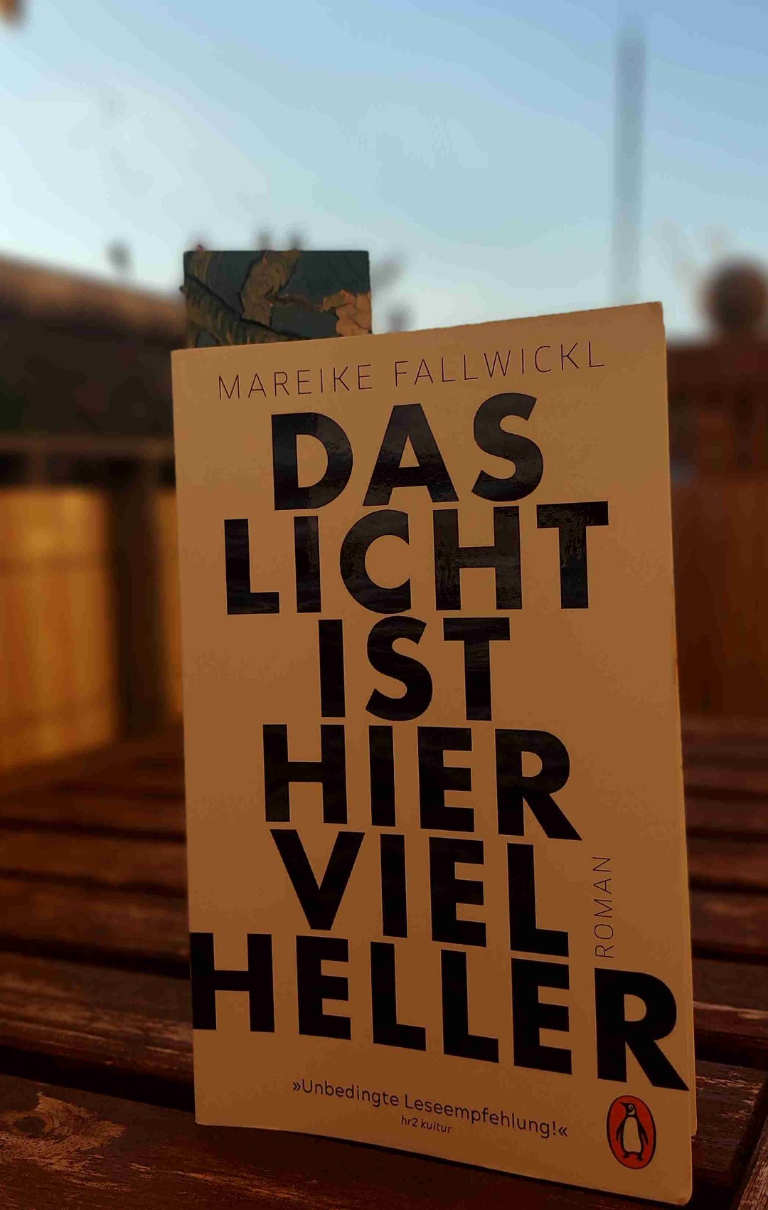 Ein wichtiges Buch!
