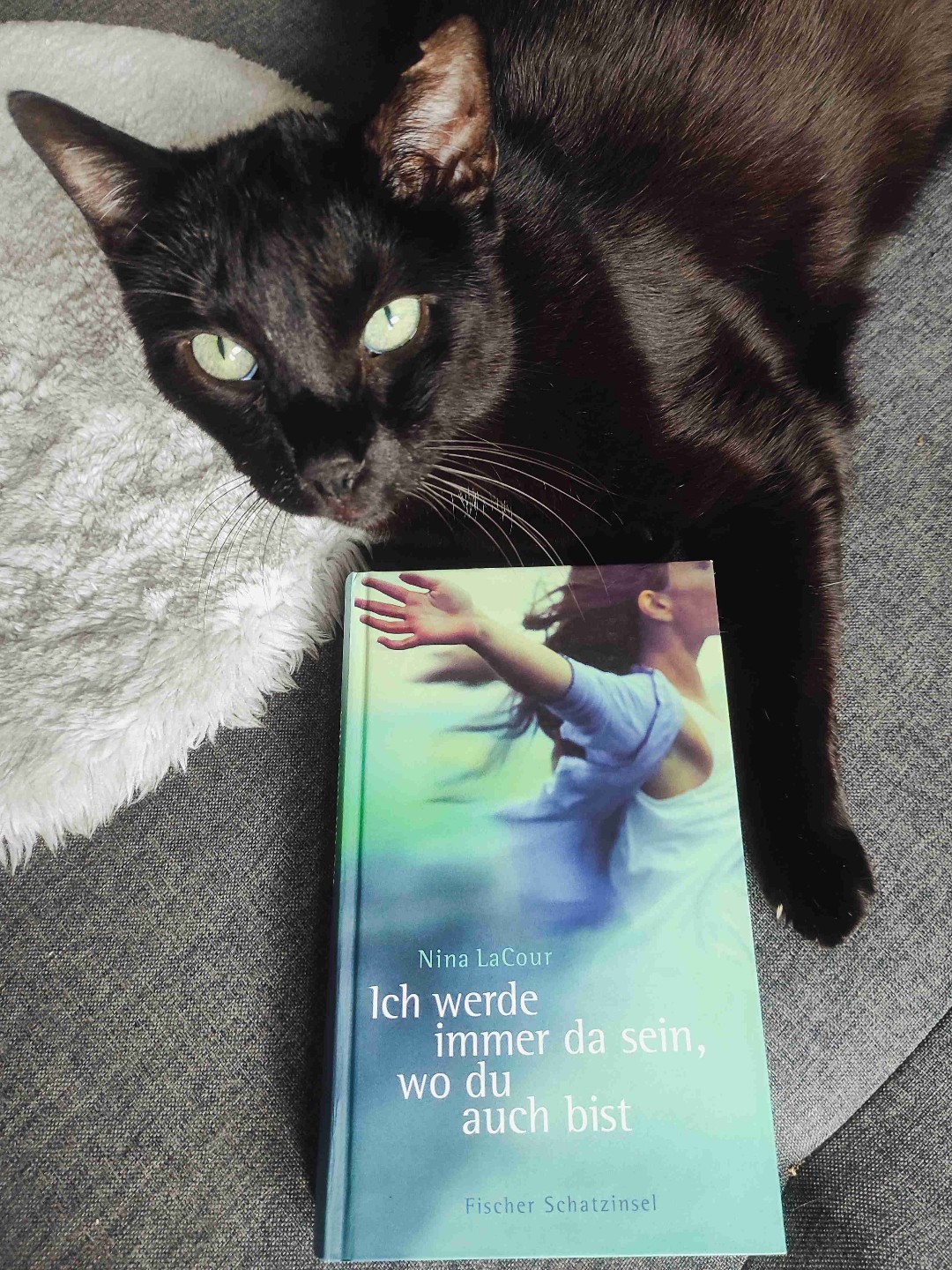 Eine emotionale Reise 