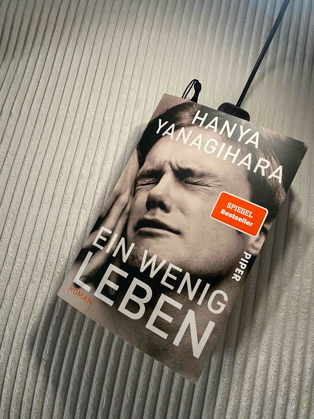 Dieses Buch war ein schwerer Meilenstein