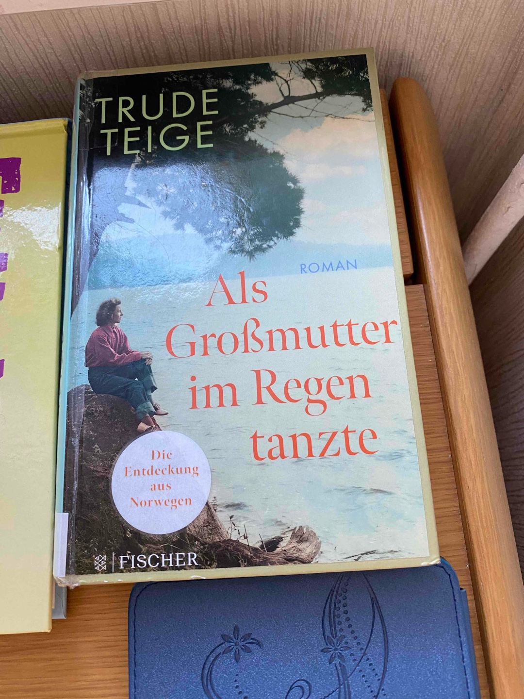 Über den 2.Weltkrieg aus skandinavischer Sicht ist ja nicht soviel bekannt, deshalb war dieser Roman für mich sehr interessant. Die Geschehnisse in Demmin kannte ich aus den Erzählungen von Zeitzeugen und Opfern.Trude Teige hat sehr gut recherchiert und es geschafft, alles sehr authentisch darzustellen. Ich finde es ist auch wichtig, ehrlich zu beschreiben und nicht den Mantel des Schweigens darüber zu breiten.
Ich bin schon gespannt auf die Geschichte des Großvaters.