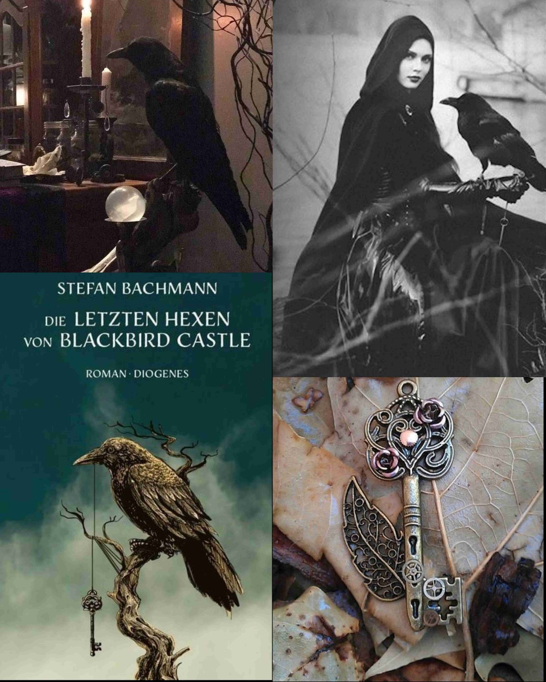 Die letzten Hexen von Blackbird Castle