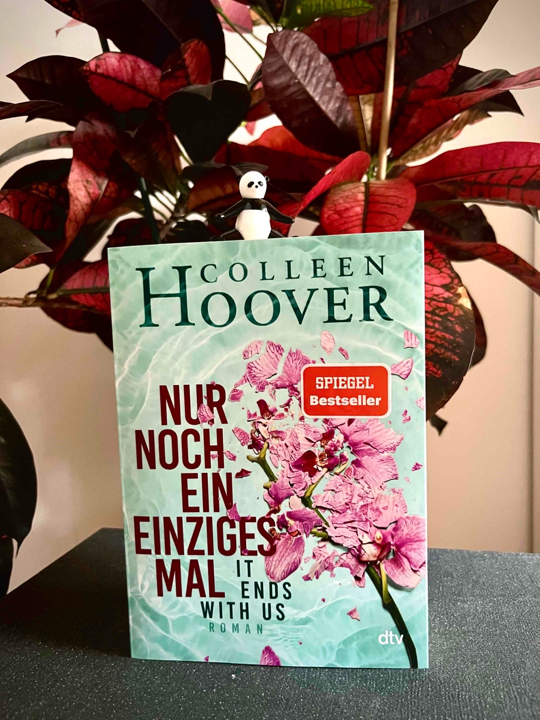 Ein Buch zum mitfühlen und mitleiden