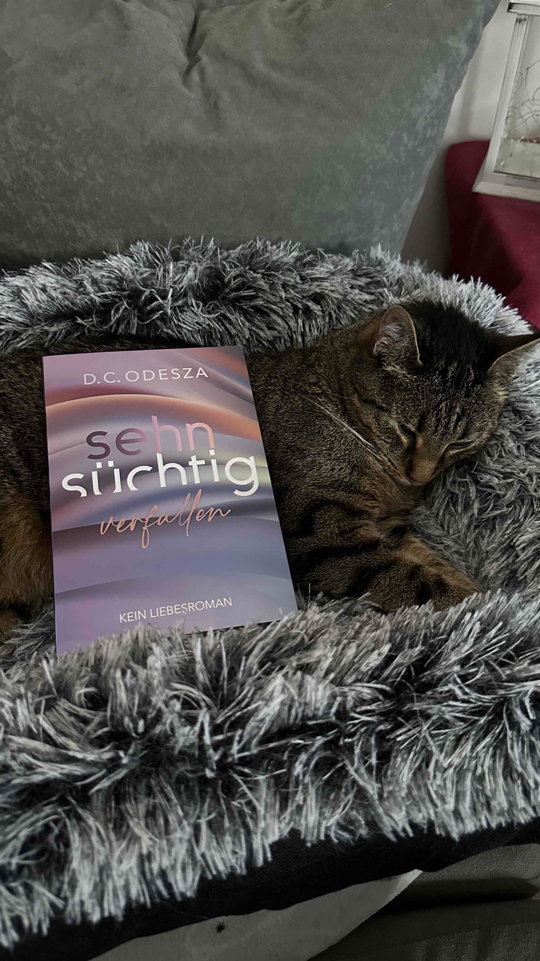 🌺 Ein gelungener Auftakt 🌸