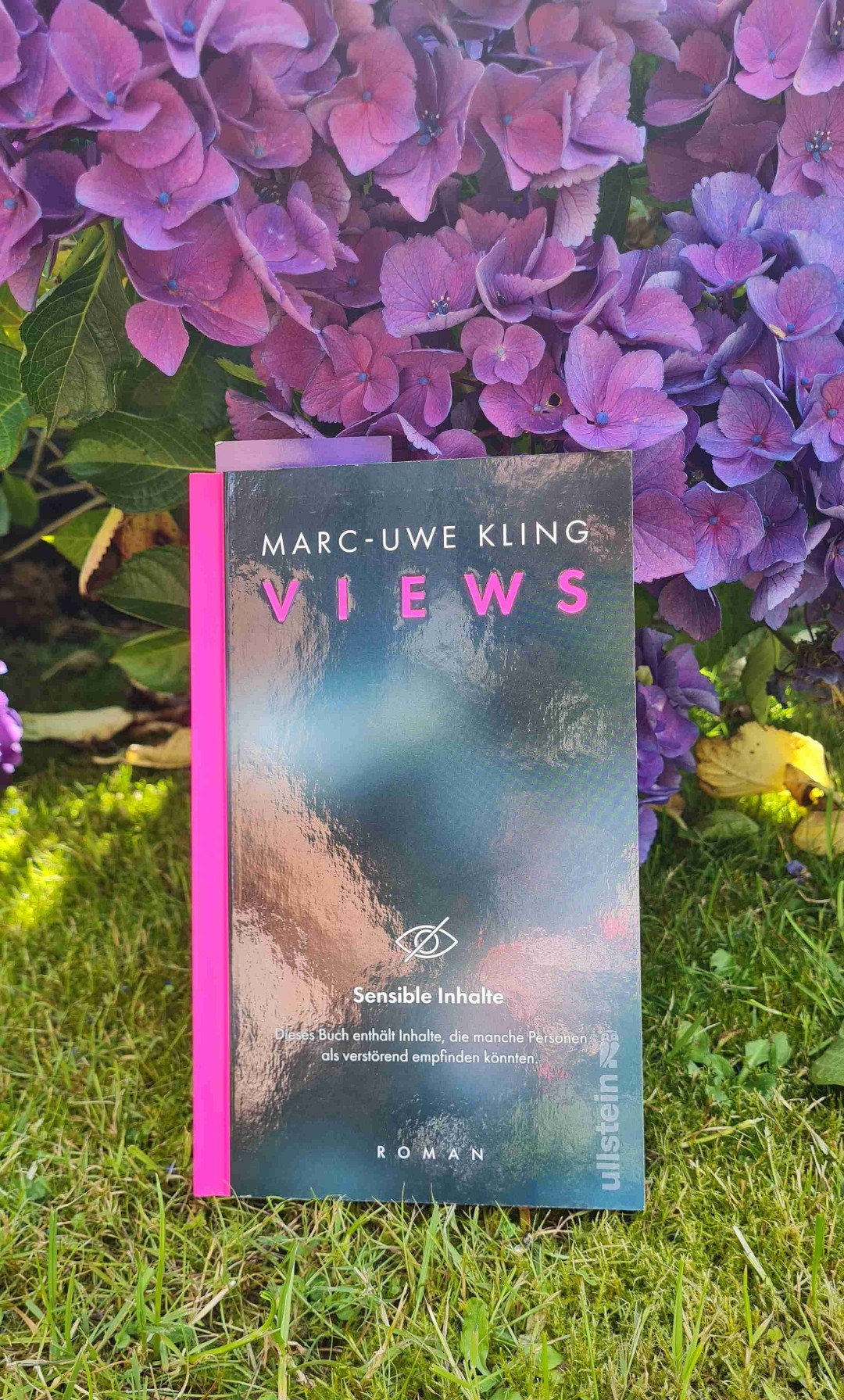 Ich liebe alle Bücher vom Autor 🤩