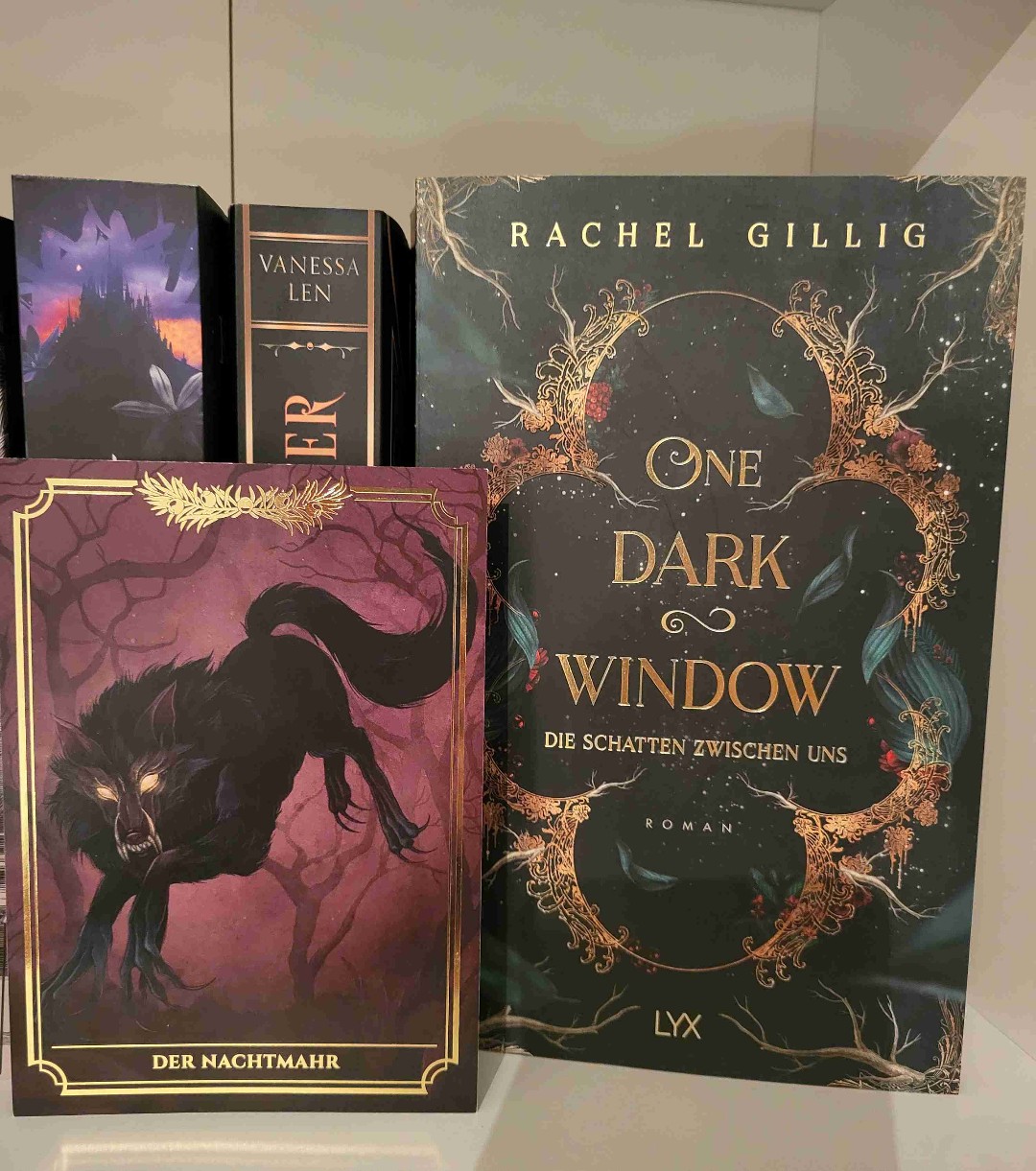 Wunderschöne, düstere Fantasy mit kreativem Magiesystem