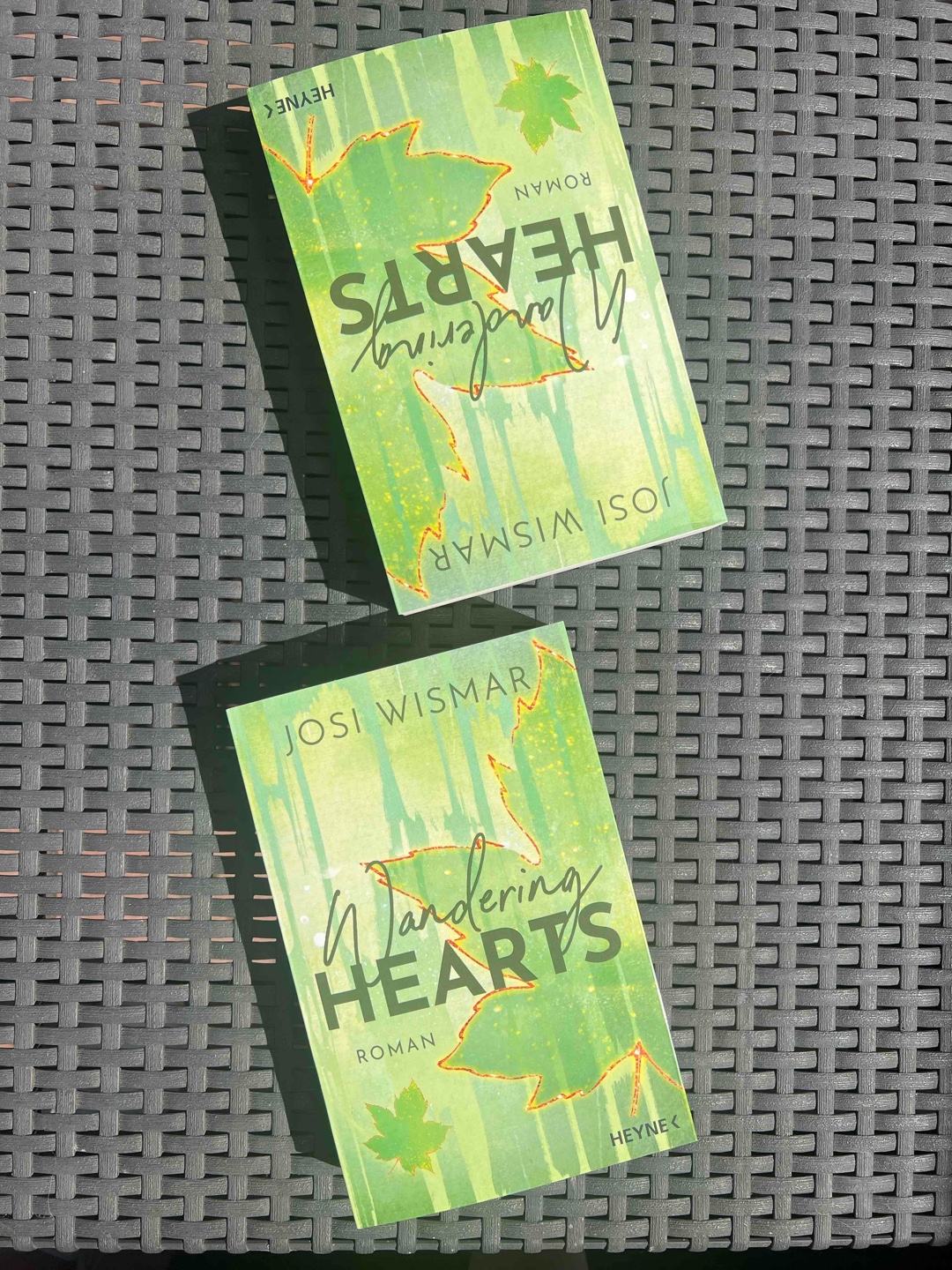 Gelungener Auftakt der Wild Hearts Diologie😍🇨🇦🍁