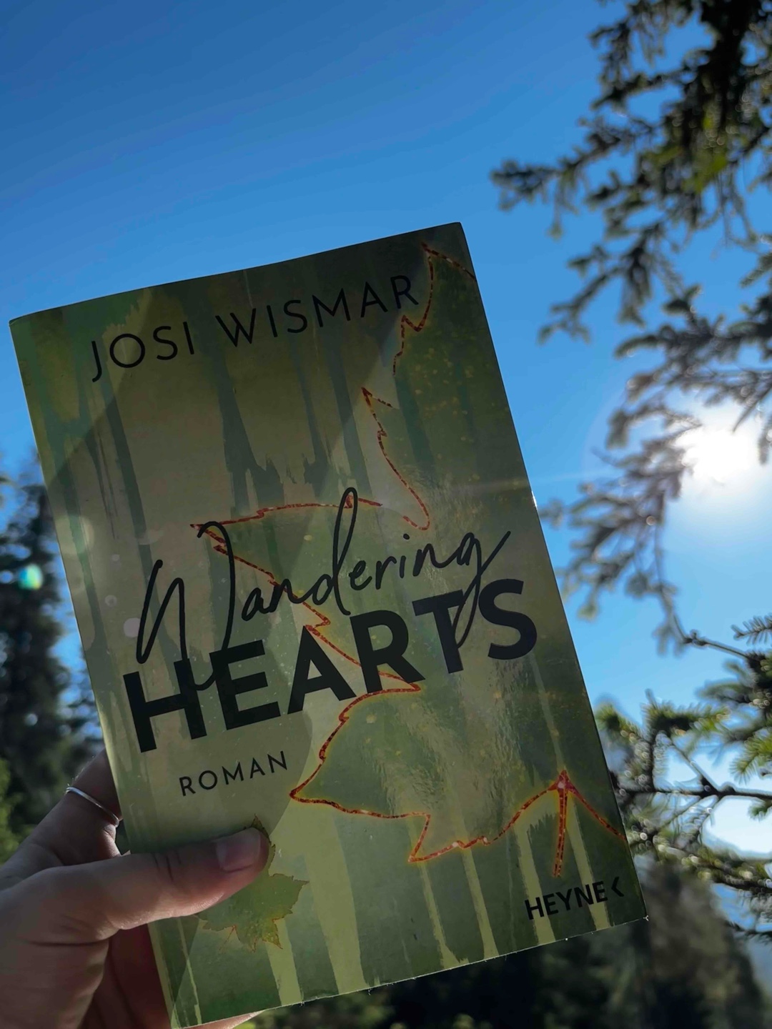 Absolutes Comfort-Book! 🏔️💚