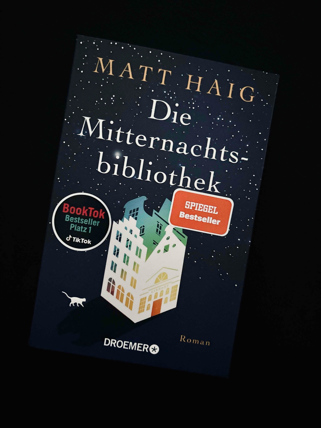 Eine berührende Erkundung der Lebensmöglichkeiten und der Suche nach persönlichem Glück.