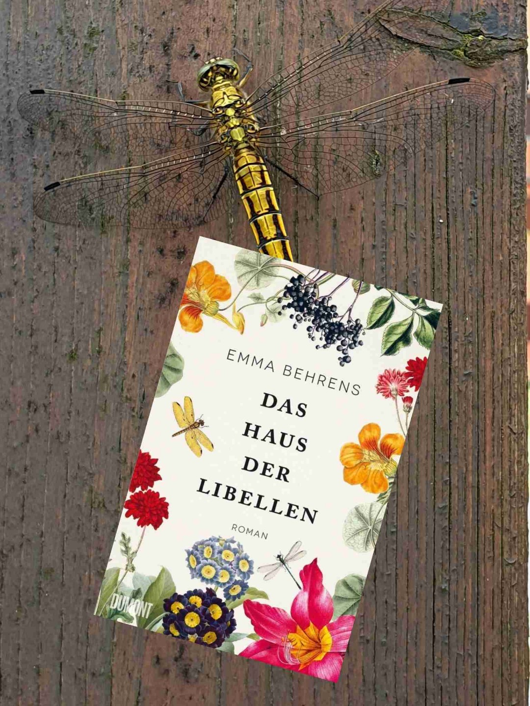 ⭐️⭐️⭐️(⭐️)
Düsterer und melancholischer als erwartet.