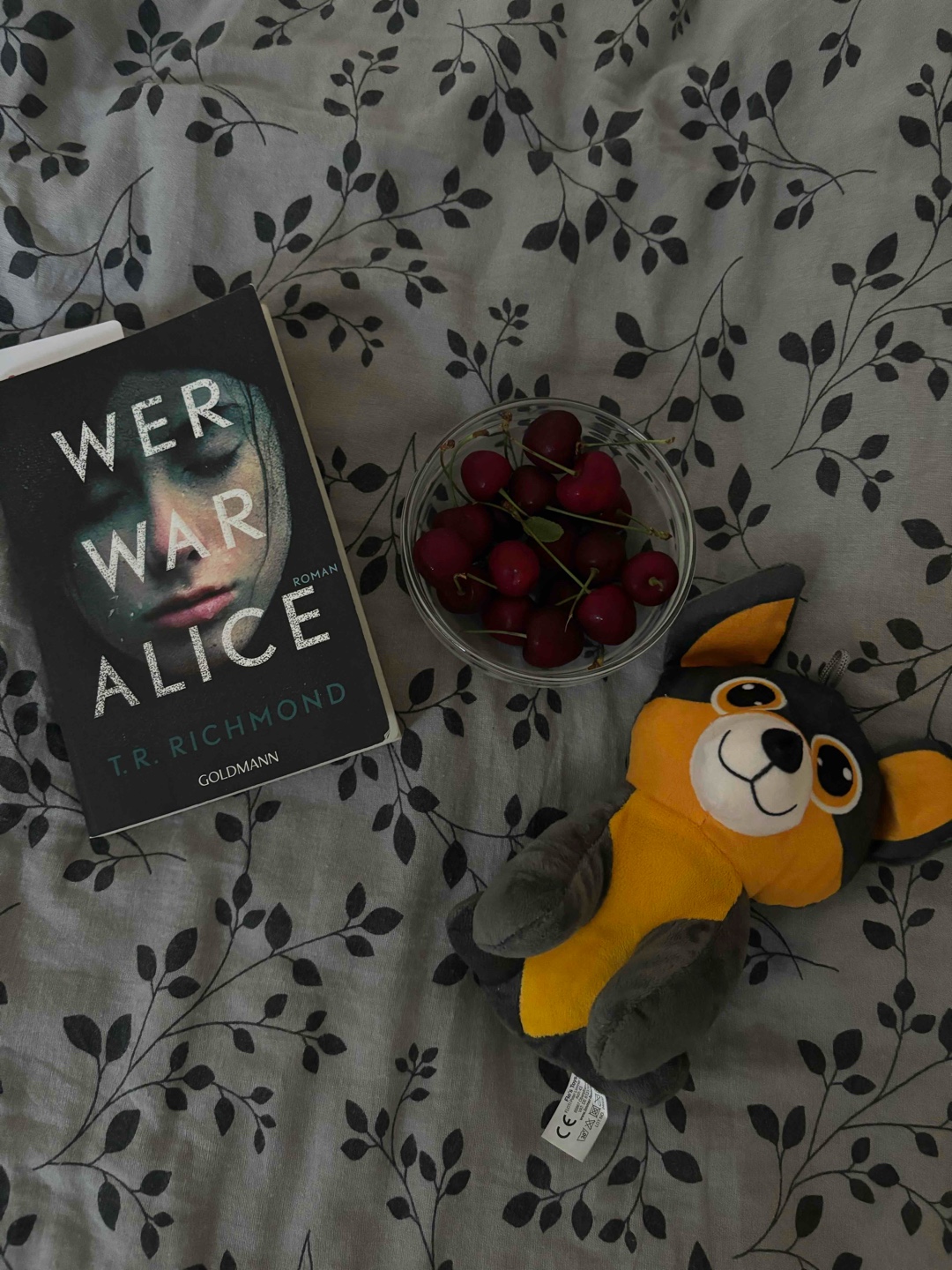 Puhhh… das war mit Abstand das schlechteste Buch das ich jeeee gelesen habe 🤡