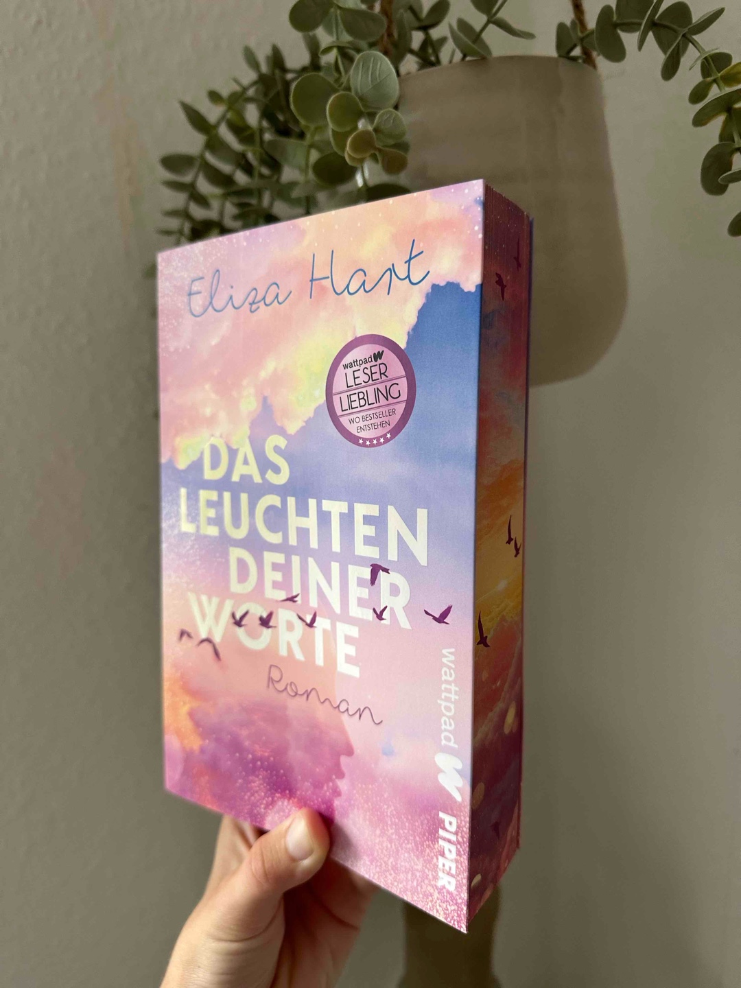 Definitiv eines meiner Jahreshighlights
