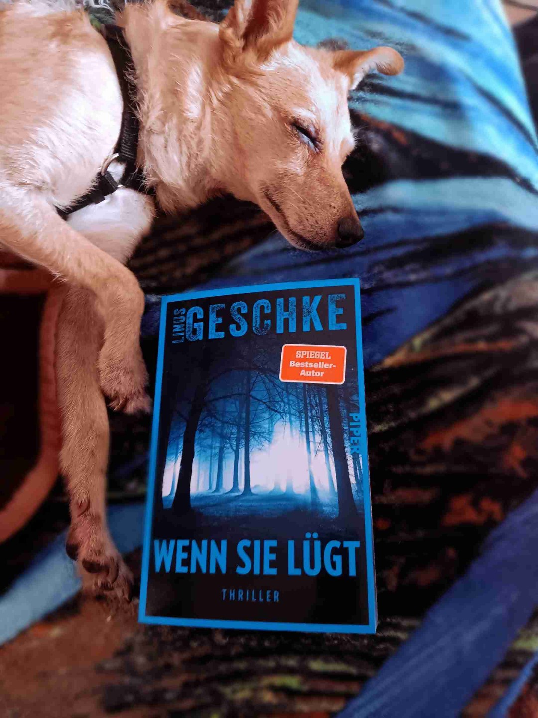 Von Linus Geschke hat mir schon das Buch 
 DIE VERBORGENEN gefallen und dann dachte ich mir das dieses Buch auch gut sein wird, am Anfang war ich mir ein bisschen unsicher aber dann sind Sachen passiert mit den ich nicht gerechnet habe, es ist sehr spannend geschrieben , hat mir sehr gut gefallen.
