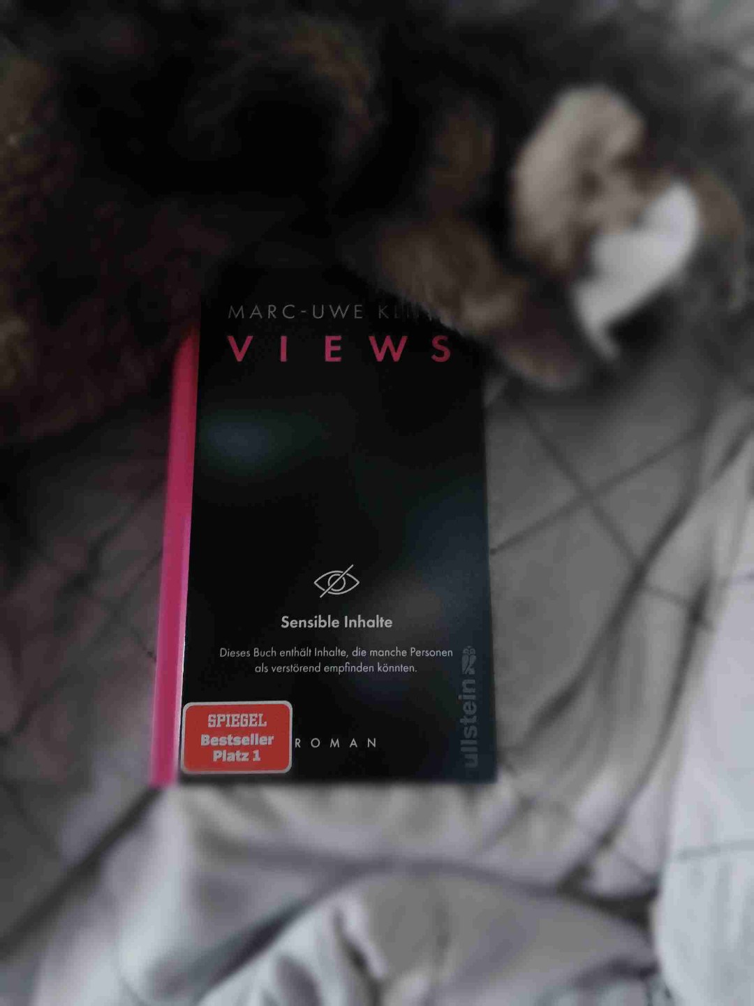 Achtung nicht erschrecken, das ist nur ein Spielzeug von meinem Hund. Also was soll ich sagen, ich fand es sehr spannend, und sehr interessant, bei Ende war ich sehr gespannt aber das Ende geht offen aus, irgendwie Frage ich mich wie es jetzt weiter geht? insgesamt hat mir das Buch sehr gut gefallen aber das Ende naja es war spannend und dann hört es einfach auf , schade.