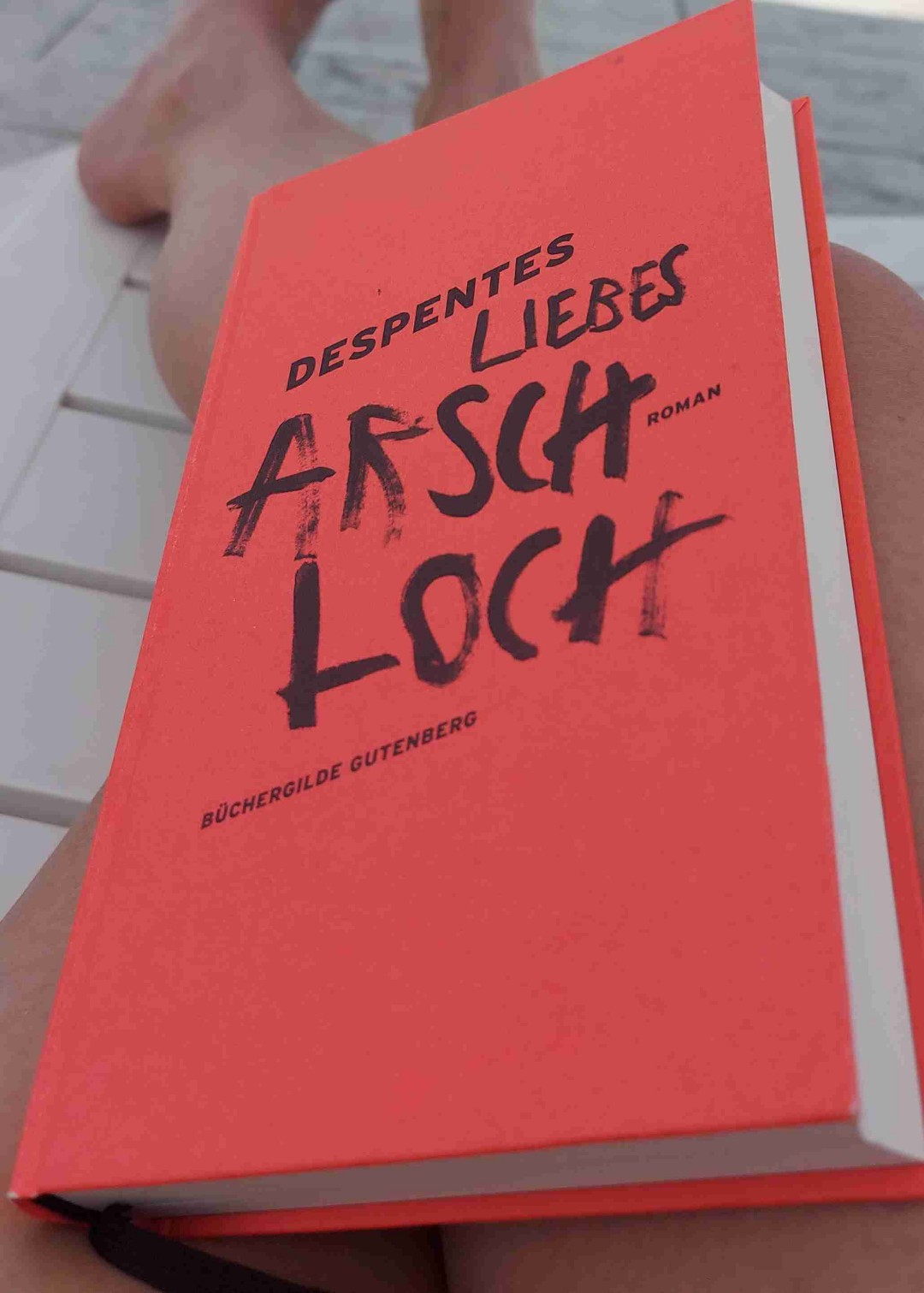 Ein wichtiges, aber nicht ganz einfaches Buch.