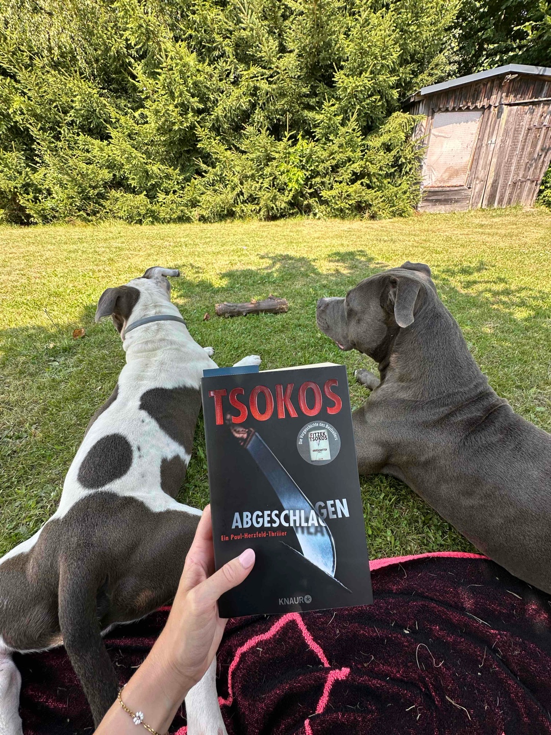 nach mehreren Fitzeks…