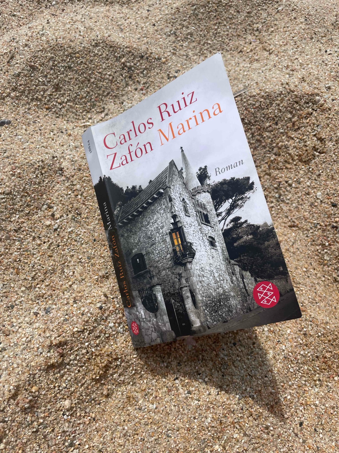 Einfach eine tolle düstere Geschichte im wunderschönen Barcelona!