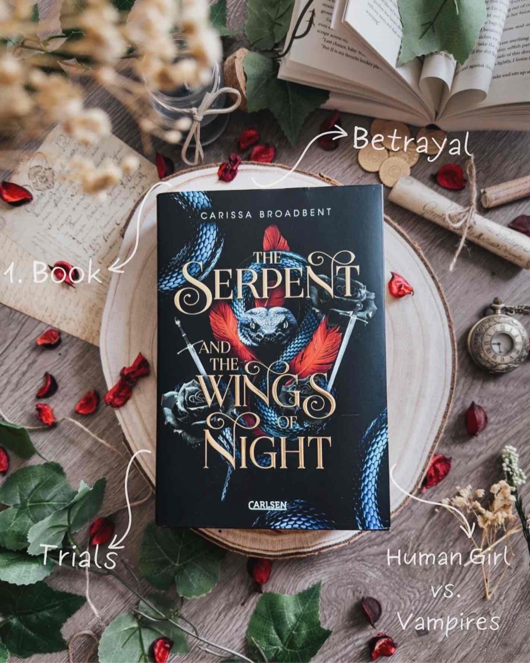 Rezension zu The serpent and the wings of night - 5/5⭐️