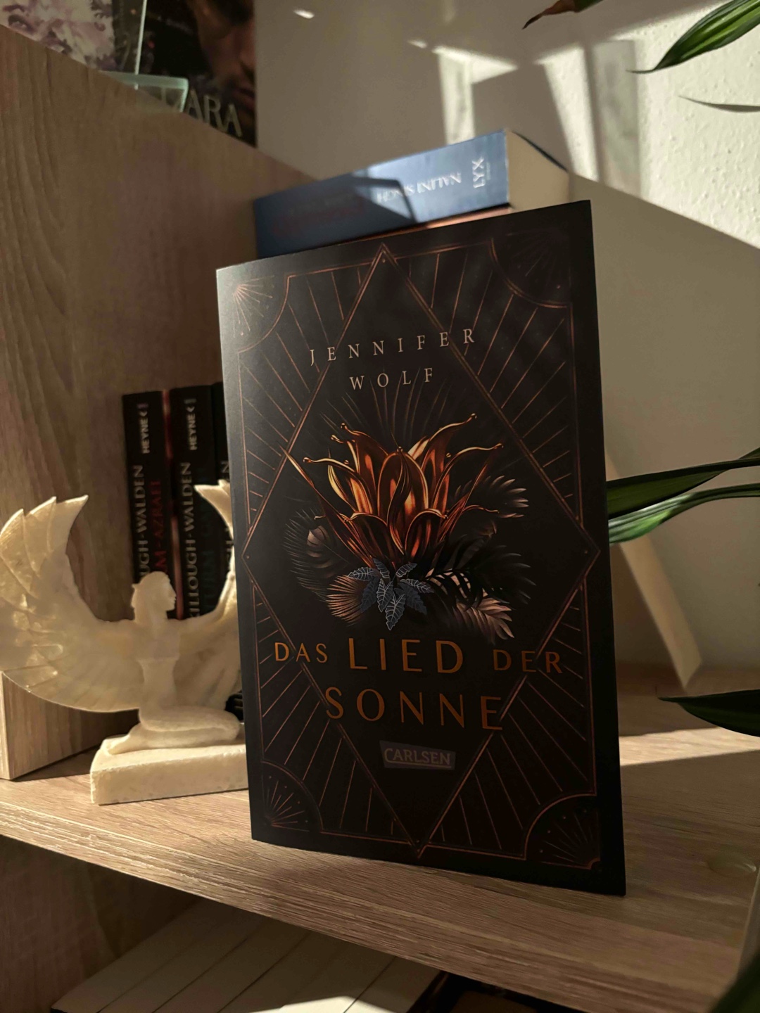 Verbotene Liebe am Hof des Königs ♥️📖