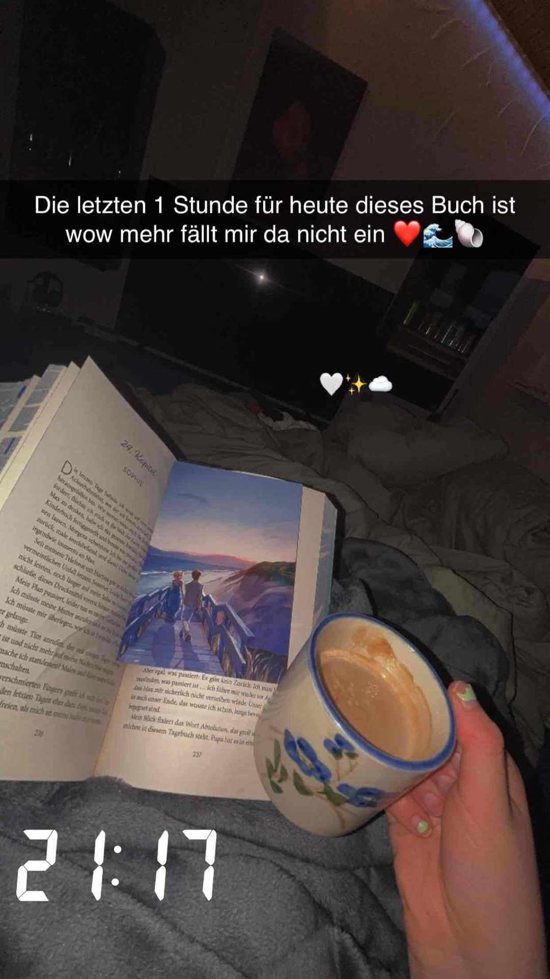Ein tolles Buch für den Sommer❤️🌊🐚